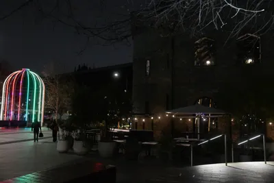 DSC_6985 (Large).JPG